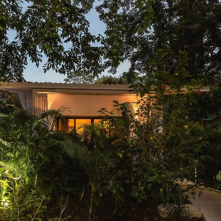 El Nido Jungle Lodge Puerto Viejo de Talamanca 외부 사진