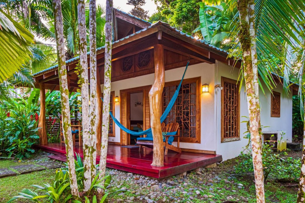 El Nido Jungle Lodge Puerto Viejo de Talamanca 외부 사진