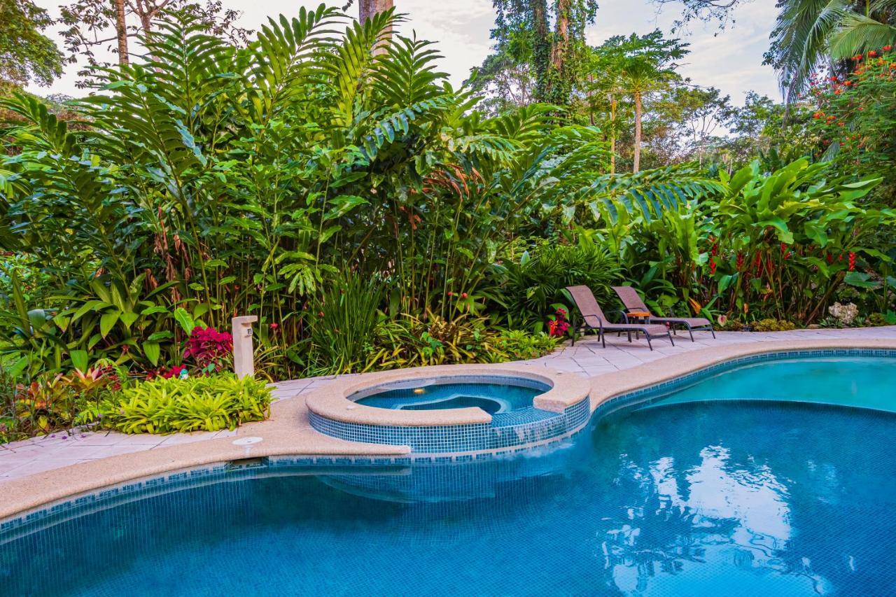 El Nido Jungle Lodge Puerto Viejo de Talamanca 외부 사진