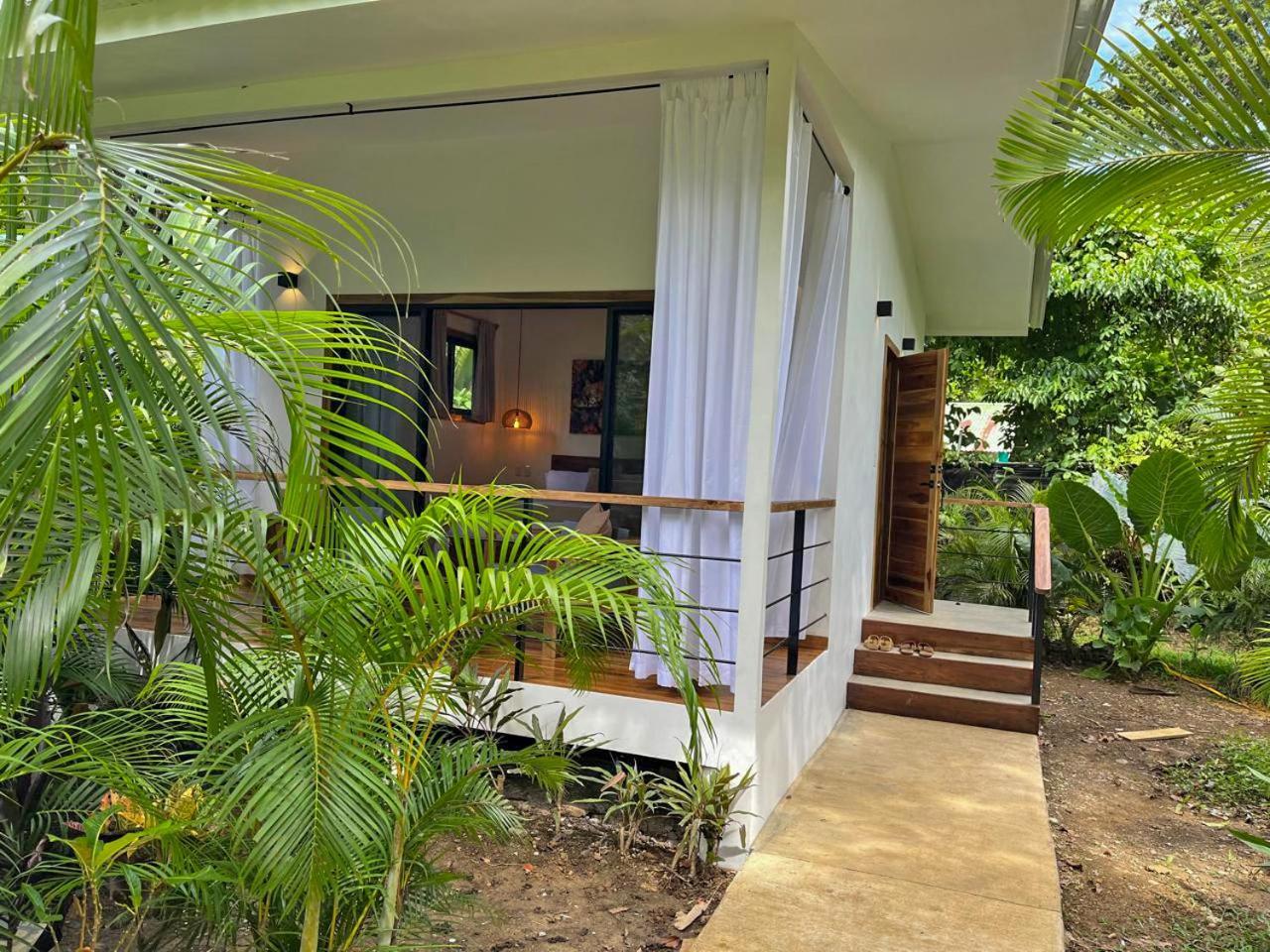 El Nido Jungle Lodge Puerto Viejo de Talamanca 외부 사진