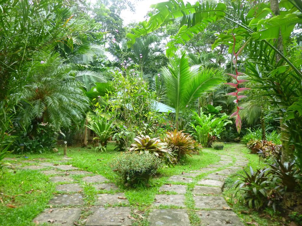 El Nido Jungle Lodge Puerto Viejo de Talamanca 객실 사진