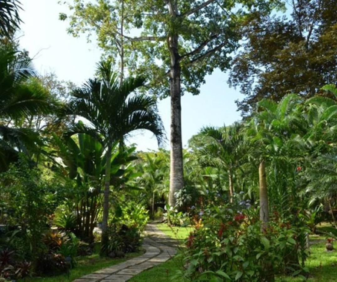 El Nido Jungle Lodge Puerto Viejo de Talamanca 외부 사진