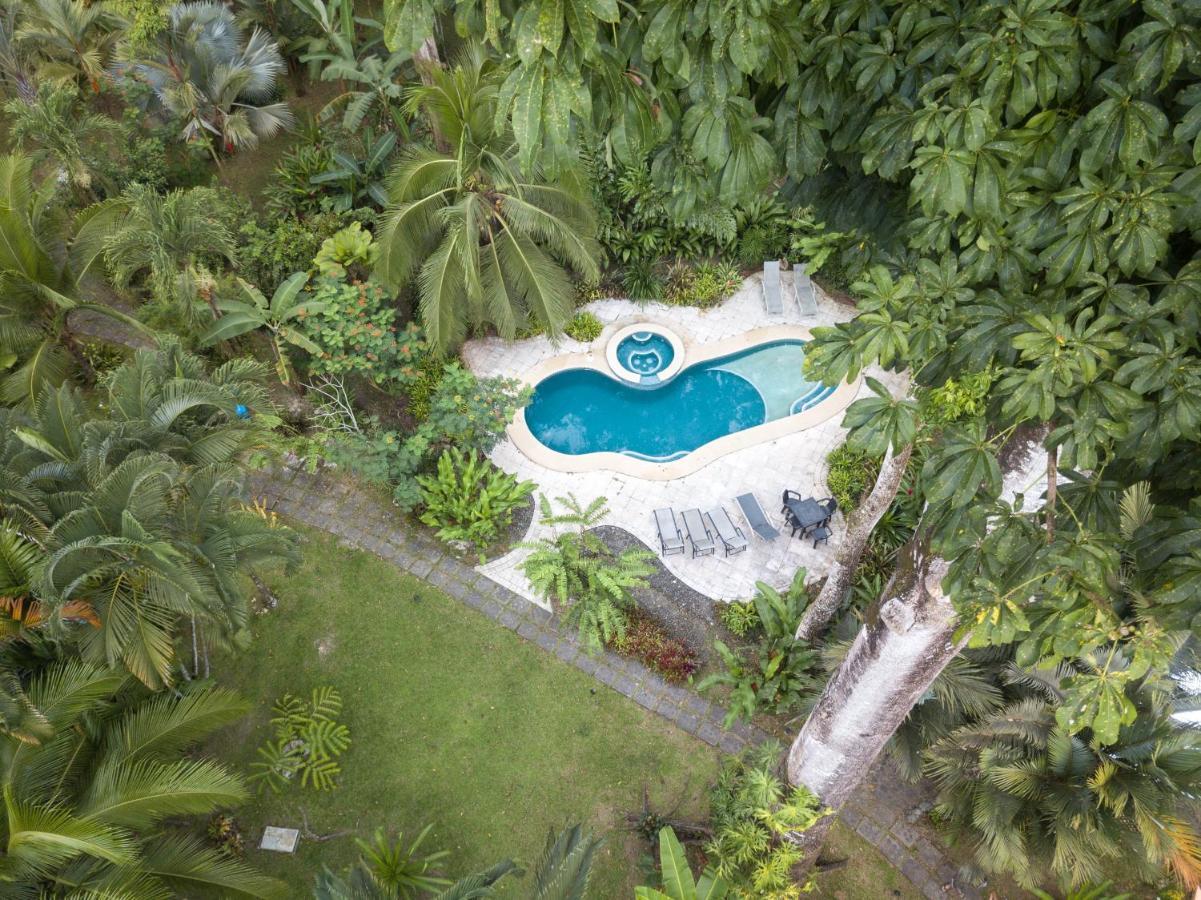 El Nido Jungle Lodge Puerto Viejo de Talamanca 외부 사진