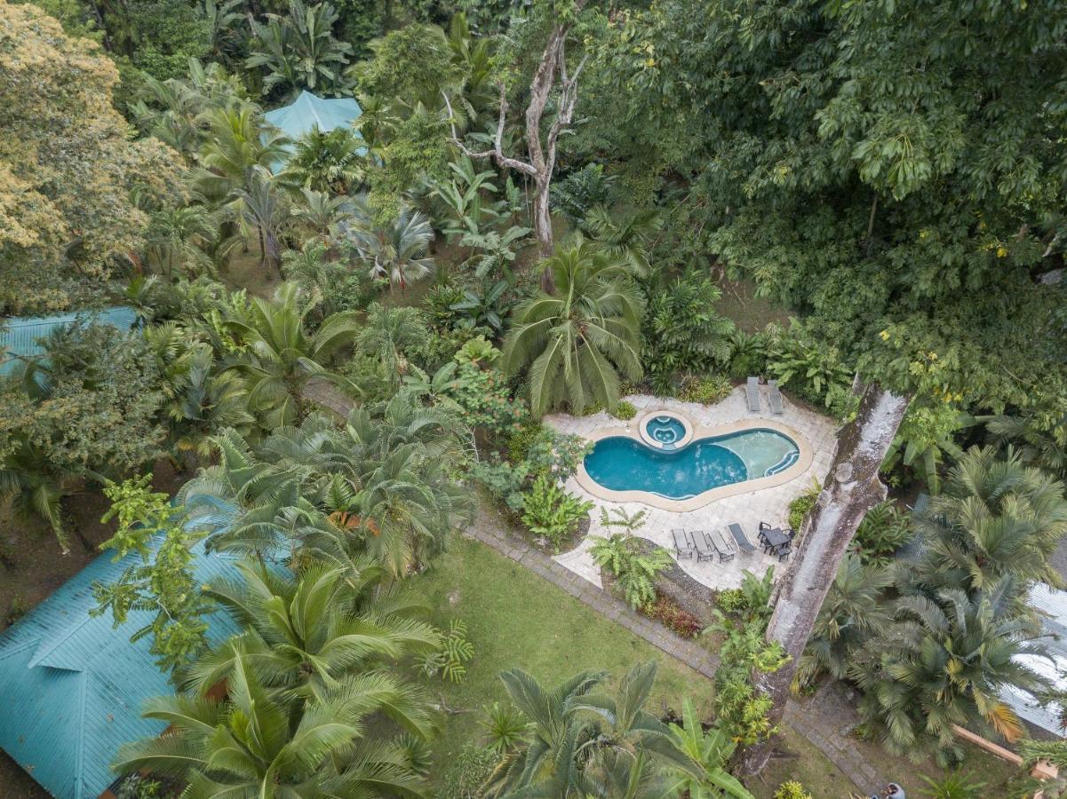 El Nido Jungle Lodge Puerto Viejo de Talamanca 외부 사진