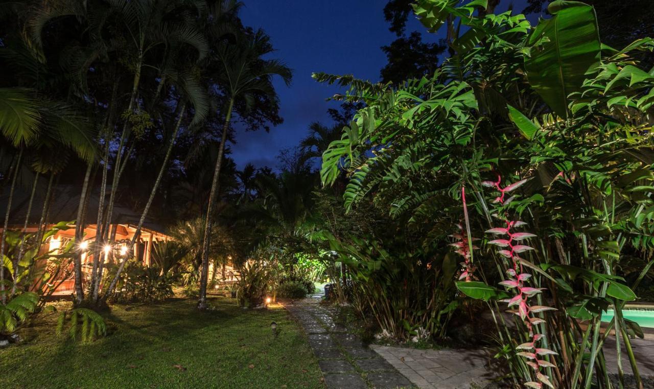 El Nido Jungle Lodge Puerto Viejo de Talamanca 외부 사진