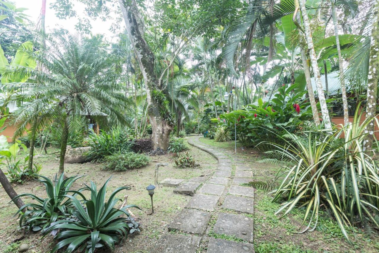 El Nido Jungle Lodge Puerto Viejo de Talamanca 외부 사진