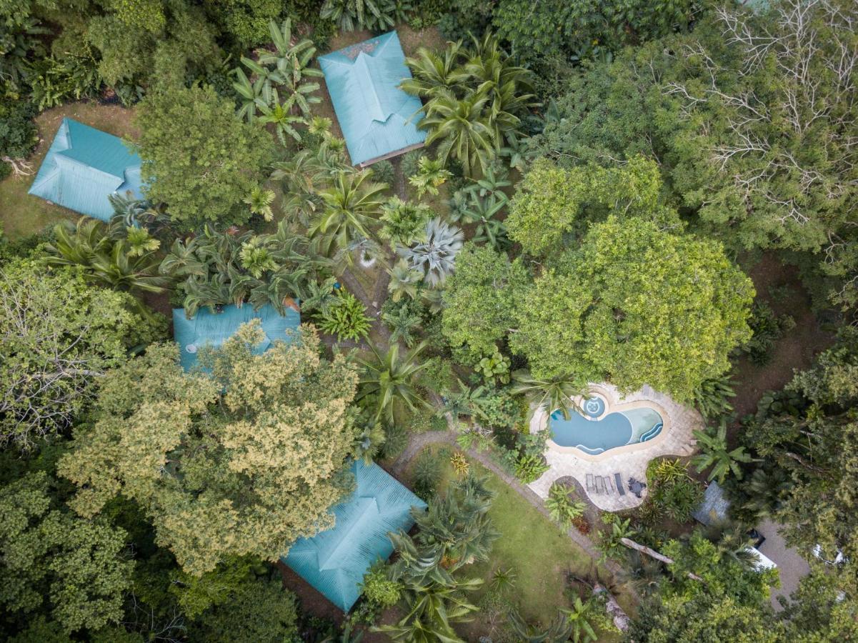 El Nido Jungle Lodge Puerto Viejo de Talamanca 외부 사진